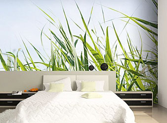 customised wallpaper