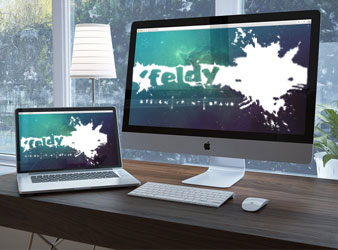 graphic design Feldy